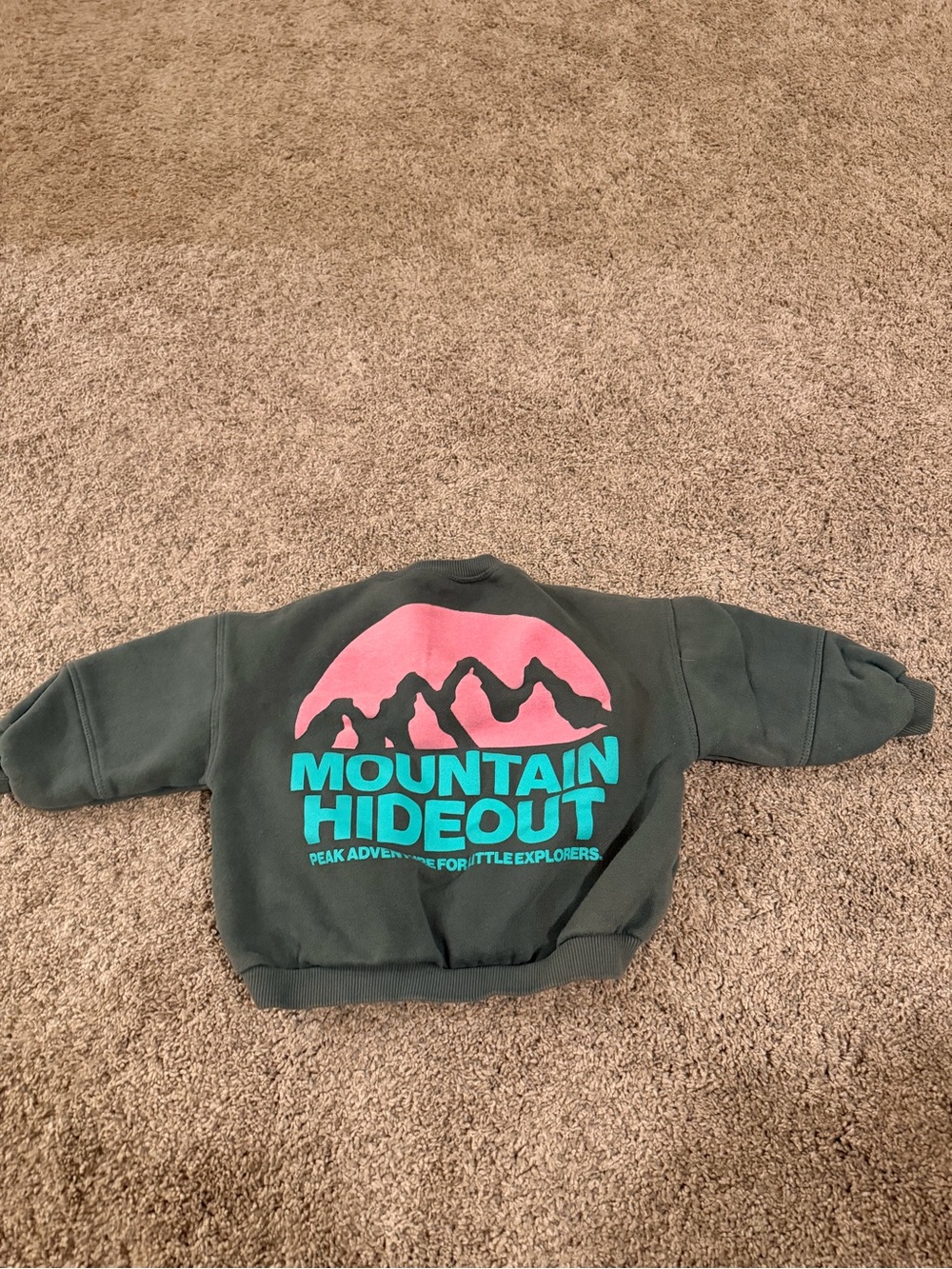 Zara Kids Green Sweatshirt with Pink & Teal Mountain Graphic